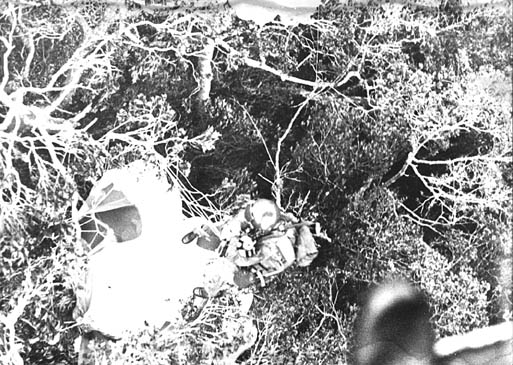 Gunfighter 82A in Trees